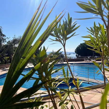 Bel Avec Piscine En Bord De